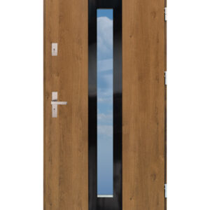 Vchodové dveře Disting - OLIVIO GLASS 03